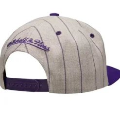 Mitchell & Ness Snapback-Grey Pin Pop Snapback Hwc Charlotte Hornets
