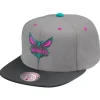 Mitchell & Ness Snapback-Grey Wolf Mags Snapback Charlotte Hornets
