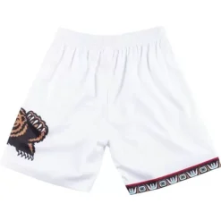 Mitchell & Ness Shorts-Grizzlies Hm Shorts Vancouver Grizzlies