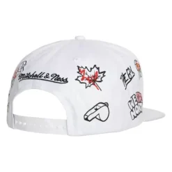 Mitchell & Ness Snapback-Hand Drawn Snapback Toronto Raptors