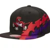 Mitchell & Ness Snapback-Happy Trees Snapback Hwc Toronto Raptors