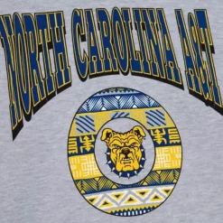 Mitchell & Ness Hoodies & Sweatshirts-Hbcu Pattern Hoody North Carolina A&T University