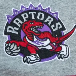 Mitchell & Ness Hoodies & Sweatshirts-Head Coach Hoodie Toronto Raptors