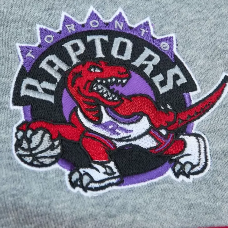 Mitchell & Ness Hoodies & Sweatshirts-Head Coach Hoodie Toronto Raptors
