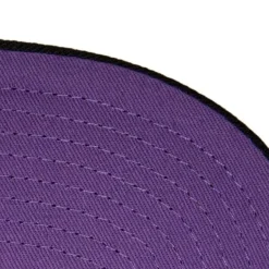 Mitchell & Ness Snapback-Heather Underpop Snapback Toronto Raptors