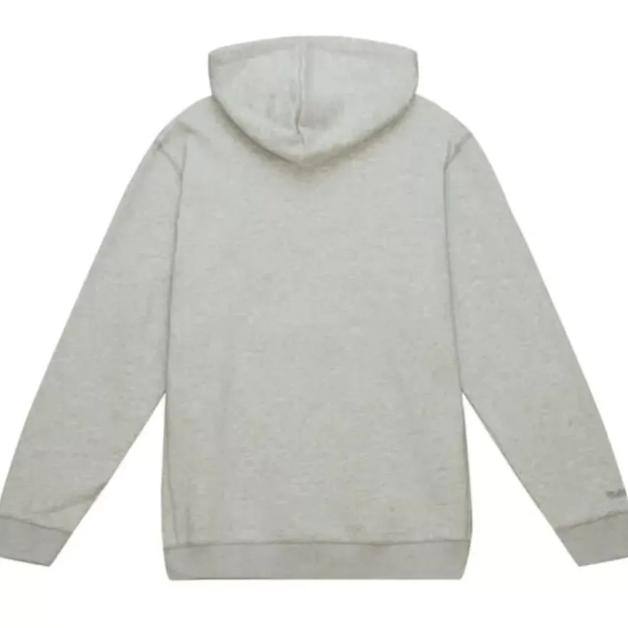 Mitchell & Ness Hoodies & Sweatshirts-Heavyweight Fleece Hoodie Toronto Raptors