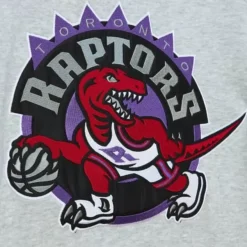 Mitchell & Ness Hoodies & Sweatshirts-Heavyweight Fleece Hoodie Toronto Raptors