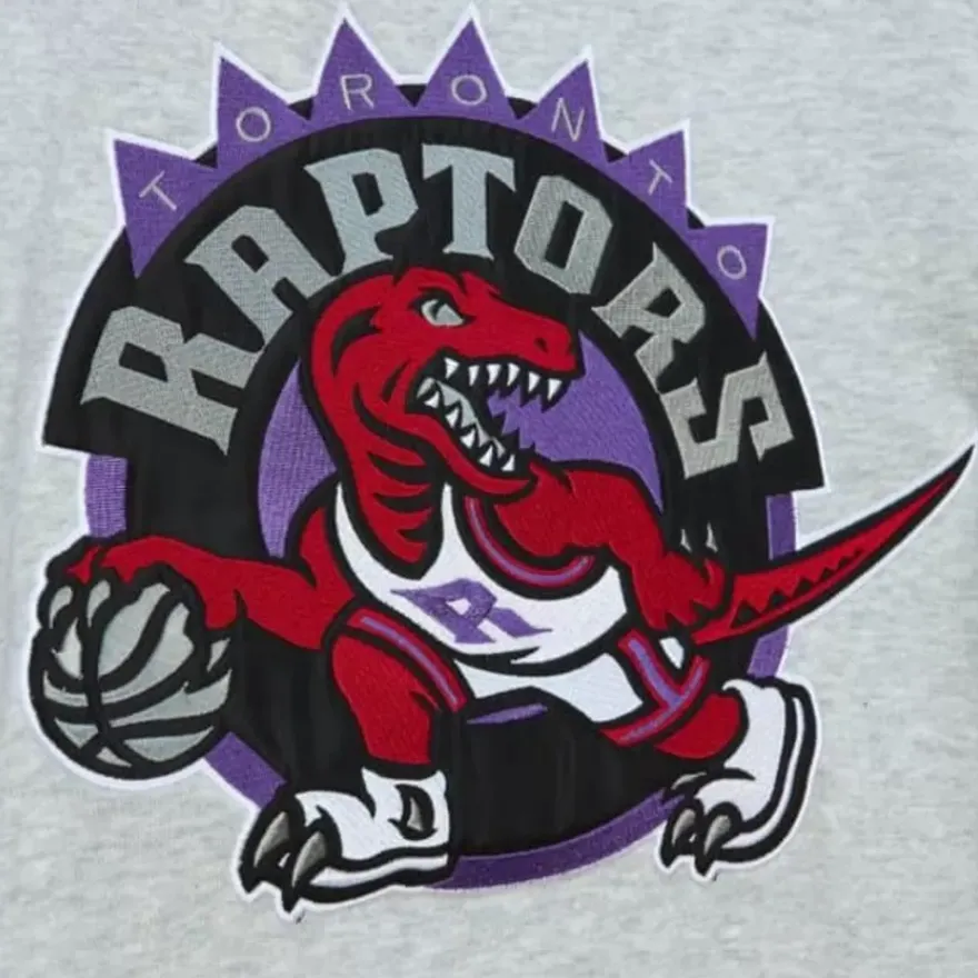Mitchell & Ness Hoodies & Sweatshirts-Heavyweight Fleece Hoodie Toronto Raptors
