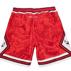 Mitchell & Ness Shorts-Hebru Shorts Chicago Bulls