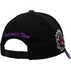 Mitchell & Ness Snapback-Highlight Real Carter Snapback Hwc Toronto Raptors
