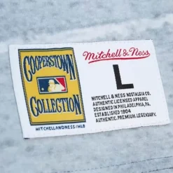 Mitchell & Ness T-Shirts & Tops-Highlight Sublimated Player Tee St. Louis Cardinals Mark Mcgwire