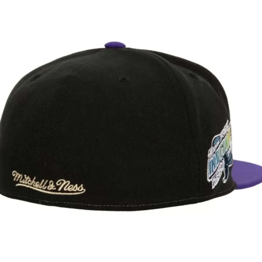 Mitchell & Ness Fitted-Homefield Fitted Coop Tampa Bay Rays