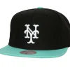 Mitchell & Ness Snapback-Hometown Snapback Coop New York Mets