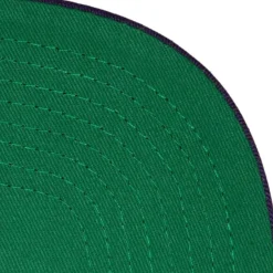 Mitchell & Ness Snapback-Hot Fire Snapback Hwc Charlotte Hornets