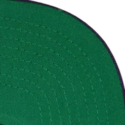 Mitchell & Ness Snapback-Hot Fire Snapback Hwc Milwaukee Bucks