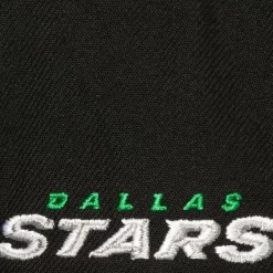 Mitchell & Ness Snapback-Icon Grail Pro Snapback Dallas Stars