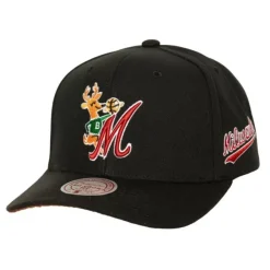 Mitchell & Ness Snapback-Icon Grail Pro Snapback Hwc Milwaukee Bucks