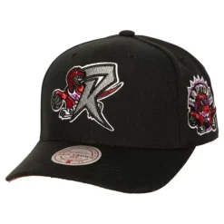 Mitchell & Ness Snapback-Icon Grail Pro Snapback Hwc Toronto Raptors