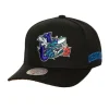 Mitchell & Ness Snapback-Icon Grail Pro Snapback Hwc Charlotte Hornets