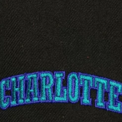 Mitchell & Ness Snapback-Icon Grail Pro Snapback Hwc Charlotte Hornets