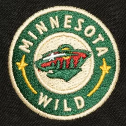 Mitchell & Ness Snapback-Icon Grail Pro Snapback Minnesota Wild