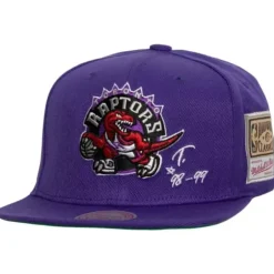 Mitchell & Ness Snapback-Jersey Love Snapback Hwc Toronto Raptors