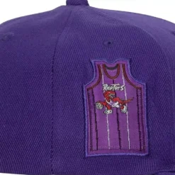 Mitchell & Ness Snapback-Jersey Love Snapback Hwc Toronto Raptors