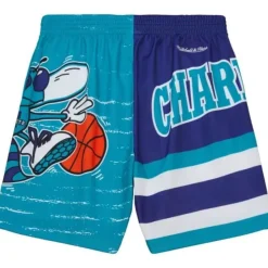 Mitchell & Ness Shorts-Jumbotron 3.0 Shorts Charlotte Hornets