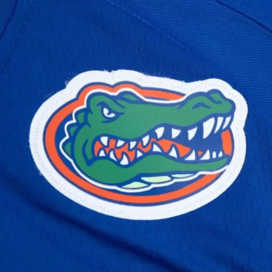 Mitchell & Ness Nfl Legacy-Legacy Tim Tebow University Of Florida 2008 Jersey