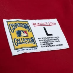 Mitchell & Ness T-Shirts & Tops-Legendary Slub Henley Atlanta Braves