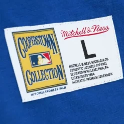 Mitchell & Ness T-Shirts & Tops-Legendary Slub Henley New York Mets