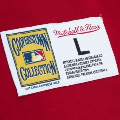 Mitchell & Ness T-Shirts & Tops-Legendary Slub Henley St. Louis Cardinals