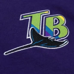 Mitchell & Ness T-Shirts & Tops-Legendary Slub Henley Tampa Bay Rays