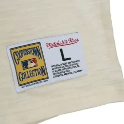 Mitchell & Ness T-Shirts & Tops-Legendary Slub Longsleeve Chicago Cubs