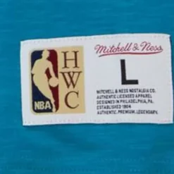 Mitchell & Ness T-Shirts & Tops-Legendary Slub S/S Tee Charlotte Hornets