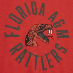 Mitchell & Ness T-Shirts & Tops-Legendary Slub S/S Tee Florida A&M University