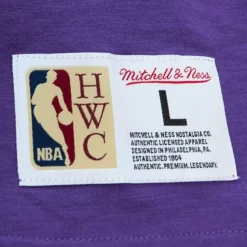 Mitchell & Ness T-Shirts & Tops-Legendary Slub S/S Tee Toronto Raptors