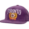 Mitchell & Ness Snapback-Levelz Snapback Hwc Toronto Raptors