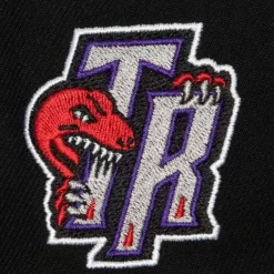 Mitchell & Ness Fitted-Logo History Fitted Hwc Toronto Raptors