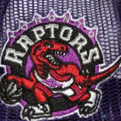 Mitchell & Ness Snapback-Logo Remix Trucker Snapback Hwc Toronto Raptors