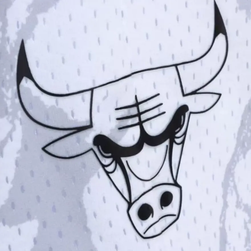 Mitchell & Ness Shorts-Marble Swingman Chicago Bulls 1997 Shorts