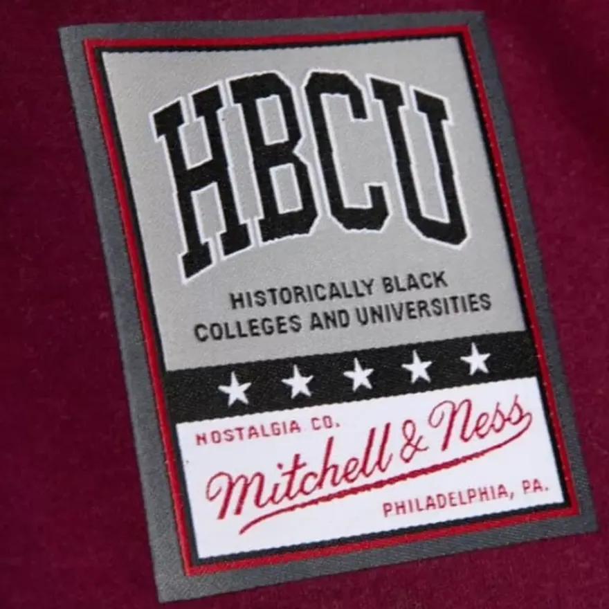 Mitchell & Ness T-Shirts & Tops-Mascot Glory Tee Texas Southern University