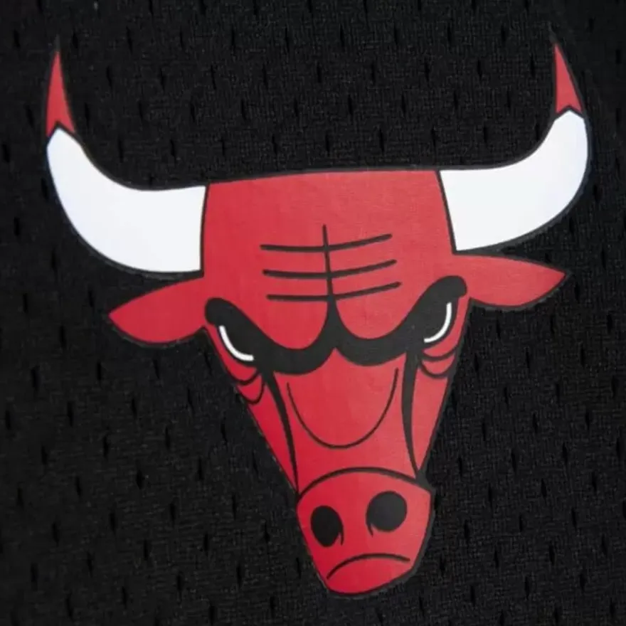 Mitchell & Ness T-Shirts & Tops-Mesh 1/4 Zip Chicago Bulls