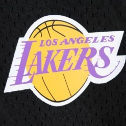 Mitchell & Ness T-Shirts & Tops-Mesh 1/4 Zip Los Angeles Lakers