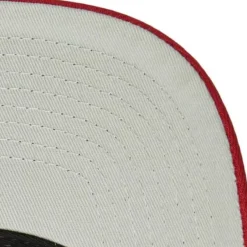 Mitchell & Ness Snapback-Box Logo Pro Snapback