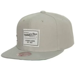 Mitchell & Ness Snapback-Gameday Snapback