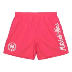 Mitchell & Ness M&N Brand-Team Essentials Nylon Shorts