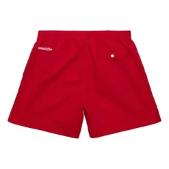 Mitchell & Ness M&N Brand-Team Essentials Nylon Shorts