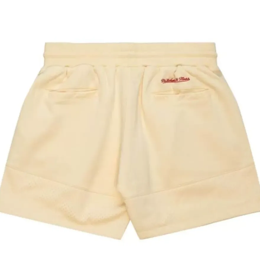 Mitchell & Ness M&N Brand-M&N X Fred Segal Mesh Block Shorts
