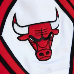 Mitchell & Ness Pants-M&N X Just Don Pants Chicago Bulls